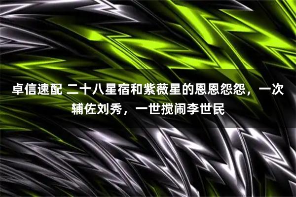 卓信速配 二十八星宿和紫薇星的恩恩怨怨，一次辅佐刘秀，一世搅闹李世民