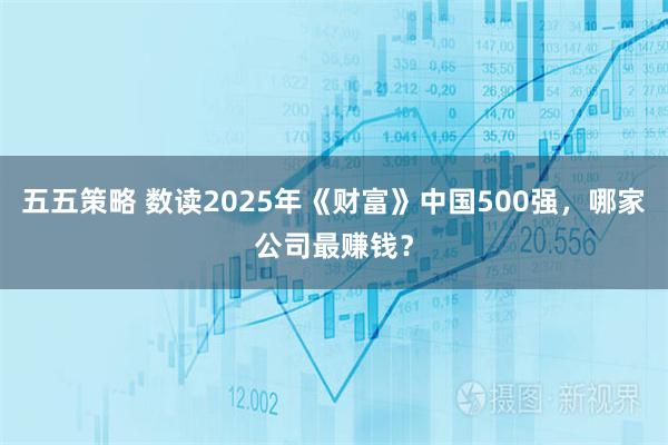 五五策略 数读2025年《财富》中国500强，哪家公司最赚钱？