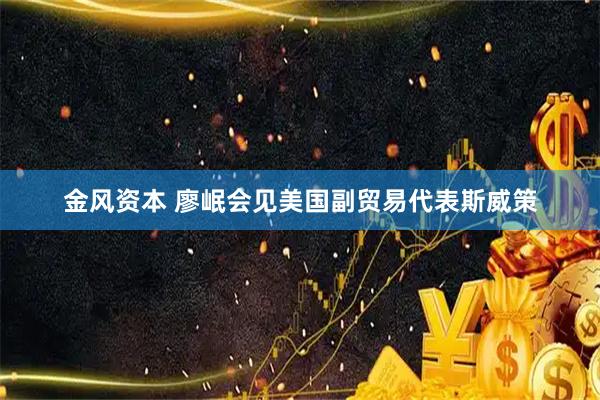 金风资本 廖岷会见美国副贸易代表斯威策