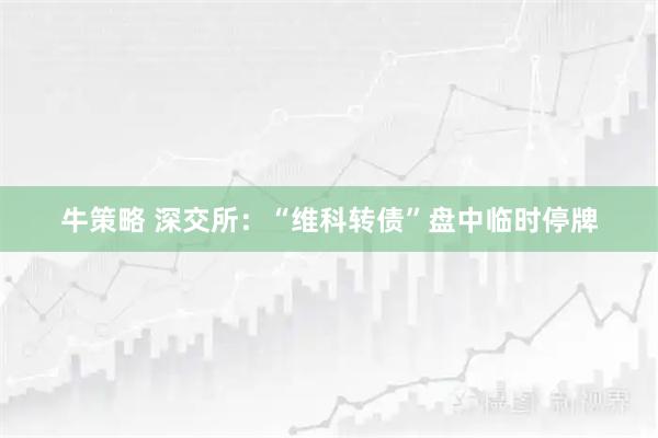 牛策略 深交所：“维科转债”盘中临时停牌